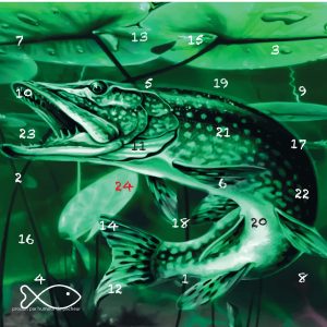 Calendrier de l'Avent brochet - L'ADVENT'LURES 2025