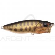 MEGABASS POP MAX