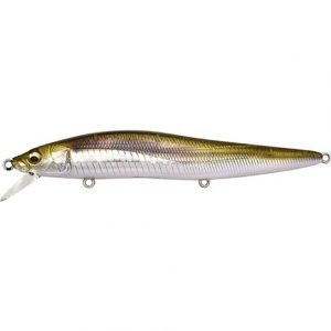 MEGABASS VISION 110 LBO FW