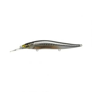 MEGABASS VISION SW +1